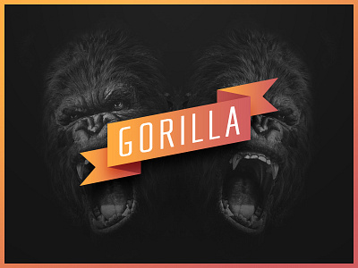 Gorilla gorilla typo