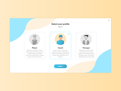 Sign-up window – selecting user profile