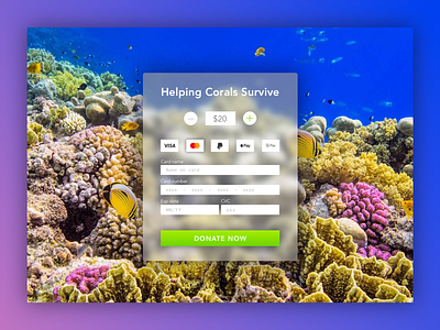 Credit Card Checkout coral reef dailyui design designer for hire donate sketch app typography ui ui design ui web design vector