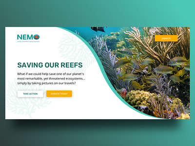 Nemo Landing Page coral reef designer for hire donate graphic design landing nonprofit sketch app ui web design