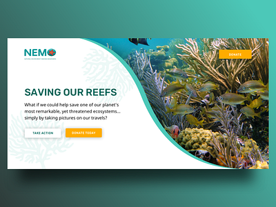 Nemo Landing Page