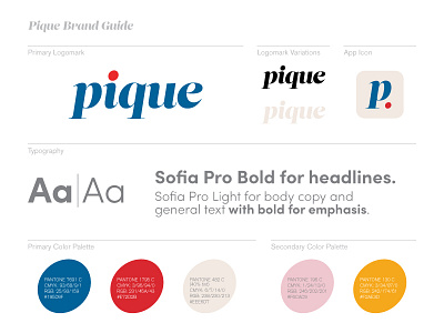 Brand guidelines for iOS app and print collateral