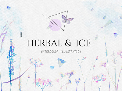 Herbal and ice watercolor project abstact art background botanical art butterfly design flora floral background geometic geometric design ice illustration line art water color