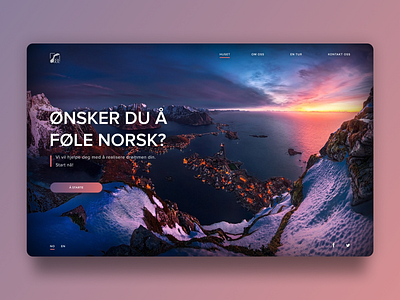 Norway Travel Website Concept