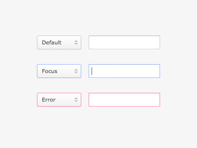 Form Element States by Andrew Fiorillo on Dribbble