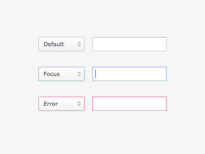 Form Element States error focus form elements input select
