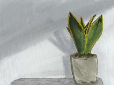 Plant illustration illustrator photoshop wacom wacom intuos