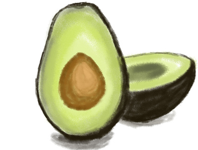 avokado avocado illustration illustrator photoshop vector wacom intuos