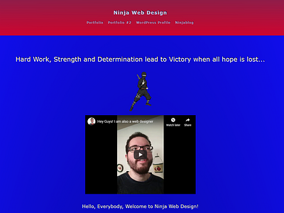 Ninja Web Design Profile Page css3 email hosting html css html5 javascript sql web design web design and development web design company web development company