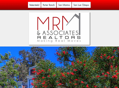 MRM & Associate, Realtors search engine optimization seo web design web design and development web design company web development