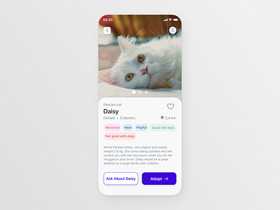 Pet Adoption App - Daily UI 006 adopt adoption cat daily ui daily ui 006 mobile pet profile user profile