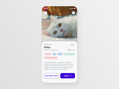 Pet Adoption App - Daily UI 006