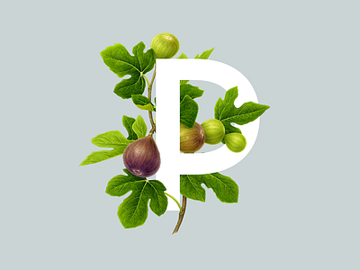 P R I M I T I A wip botanical brand design food identity italy logo monogram