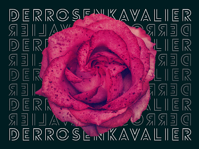 Work in progress / Der Rosenkavalier text typography visual