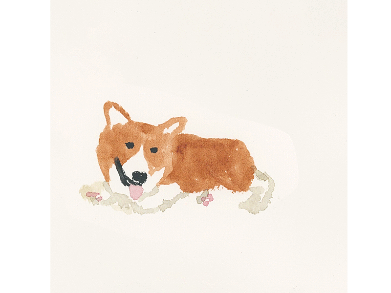 A Corgi and A Cat Watercolor Animation animation illustration watercolor