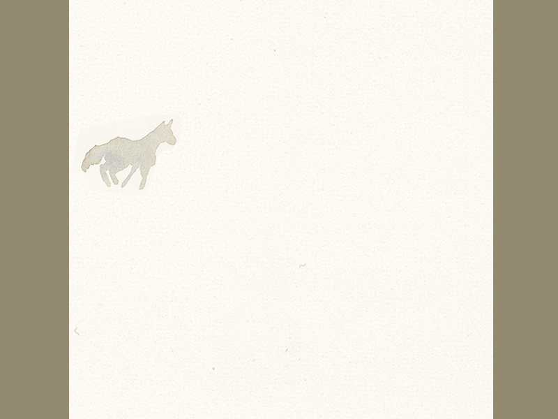 A White Horse Watercolor Animation animation frame by frame illustration motion watercolor