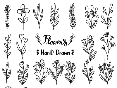 Hand drawn botanical
