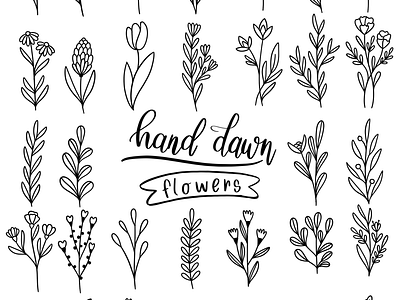 Hand drawn botanical hand drawn botanical