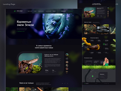#3 Landing Page snakes ui