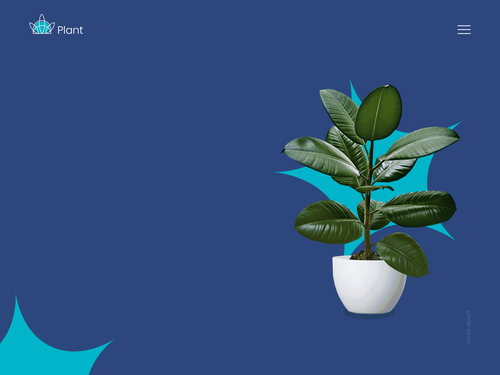 Plant sales website 🌿 animation concept design figma plant shop ui