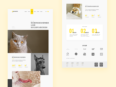 Pet official website ui 品牌 官网 插图 设计