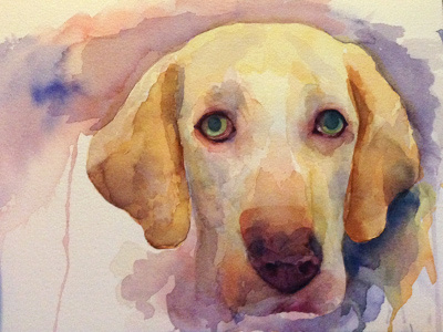 Arya dog illustration paint watercolor