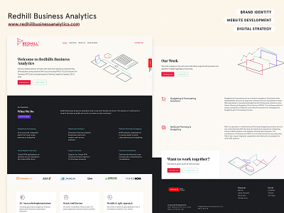 Redhillls Business Analytics business analysis squarespace