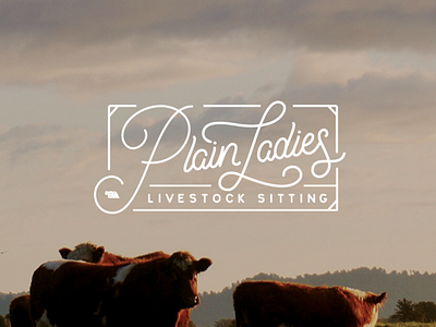 Plain Ladies Logo Comp comp cows ladies livestock logo midwest nebraska