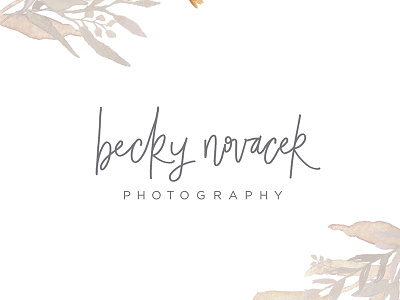 Becky Novacek Photography Logo fun hand lettering leaves lettering logo loose photography script watercolor