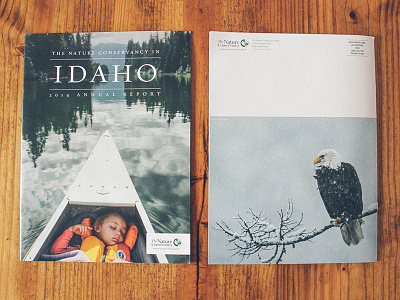The Nature Conservancy of Idaho Annual Report annual report bald eagle idaho magazine nature photography print design publication the nature conservancy