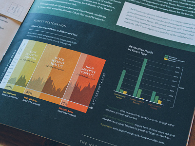 The Nature Conservancy of Idaho Annual Report (detail) idaho infographic information magazine nature print design the nature conservancy