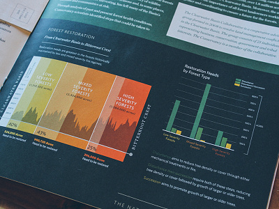 The Nature Conservancy of Idaho Annual Report (detail)