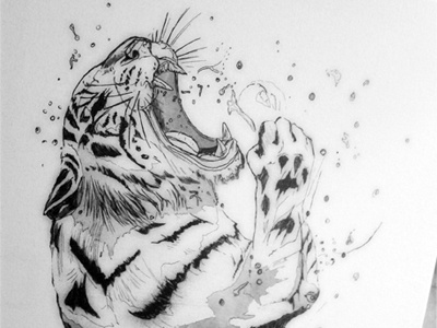 Feeding Time V1 - Tiger black canvas digital grey handdrawn illustration print siberian tiger tiger white