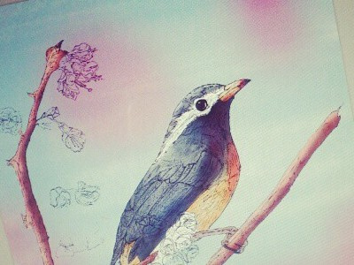 Working on a new artwork; "Bird II" artwork bird handdrawn instagrammed
