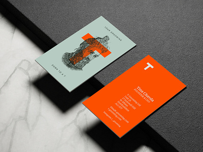 T-Grooming Visual Identity