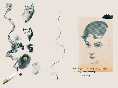 Sketchbook Studies adobe fresco cats digital illustration fresco illustration portrait sketch sketchbook