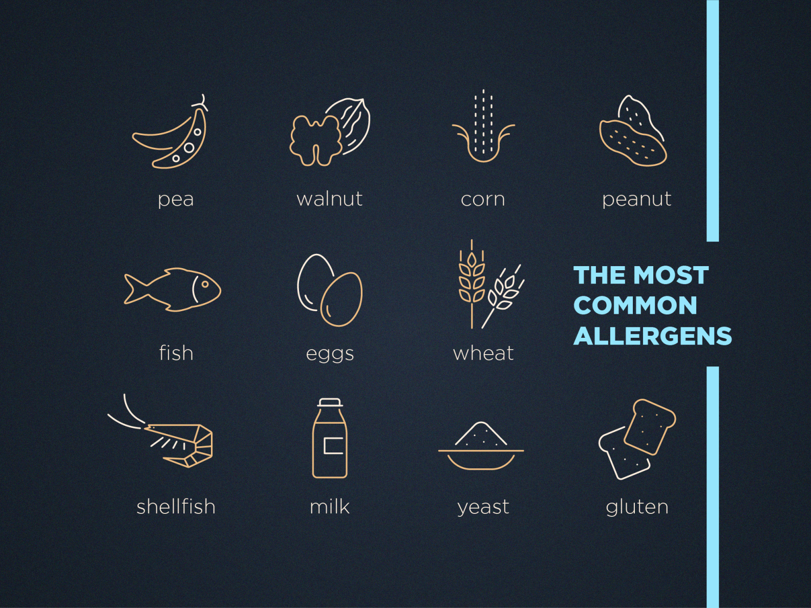 the-most-common-allergens-by-natalia-lashko-on-dribbble