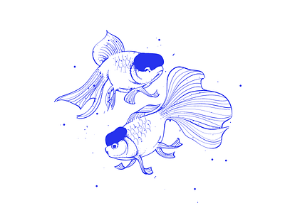 White Oranda with Red Cap fish sketch xiaoafu