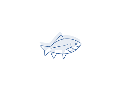 Fish adobe illustrator animal fish flat design flat graphic graphic design icon icon design illustration illustration art vector art vector design