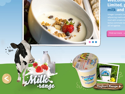 Dairy Web Concept design site web webdesign