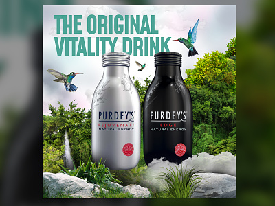 Britvic Visuals advert advertsing birds branding bright campaign colourful design drinks energy energy drink greenery marketing design natural packaging photo manipulation photoshop scenic vector visuals