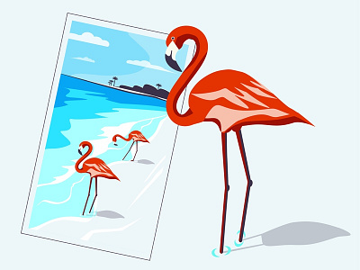 Poster flamingo blue dribbble flamingo flamingos flat illustration illustrator new poster posters sea summer vector