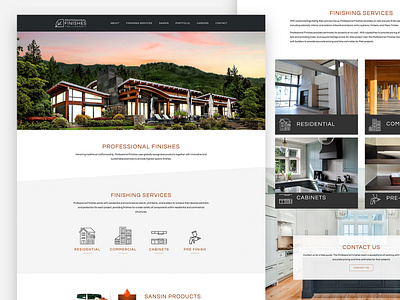 Professional Finishes Web Design Home Page Overview