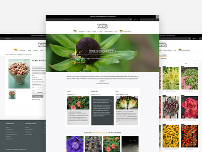 Shopify store for organic seed farm, Uprising Seeds shopify web design web development