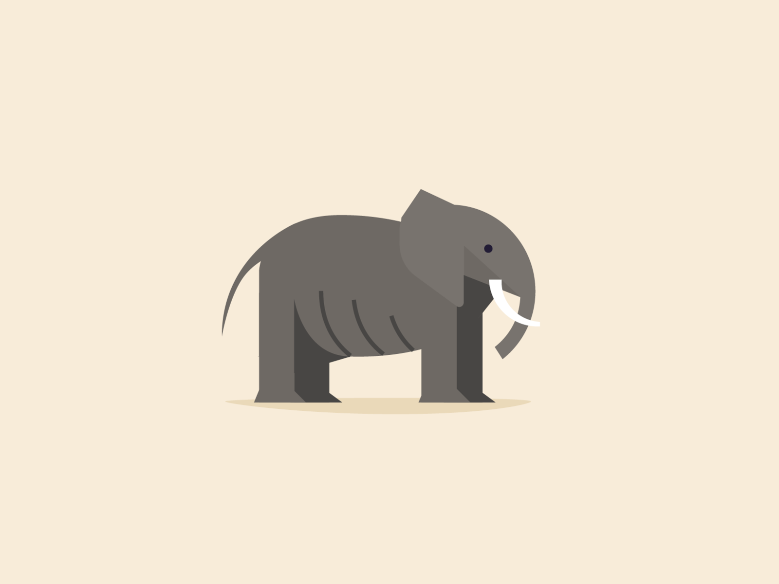 Elephant 2d animal clean elephant illustration minimalistic portugal vector