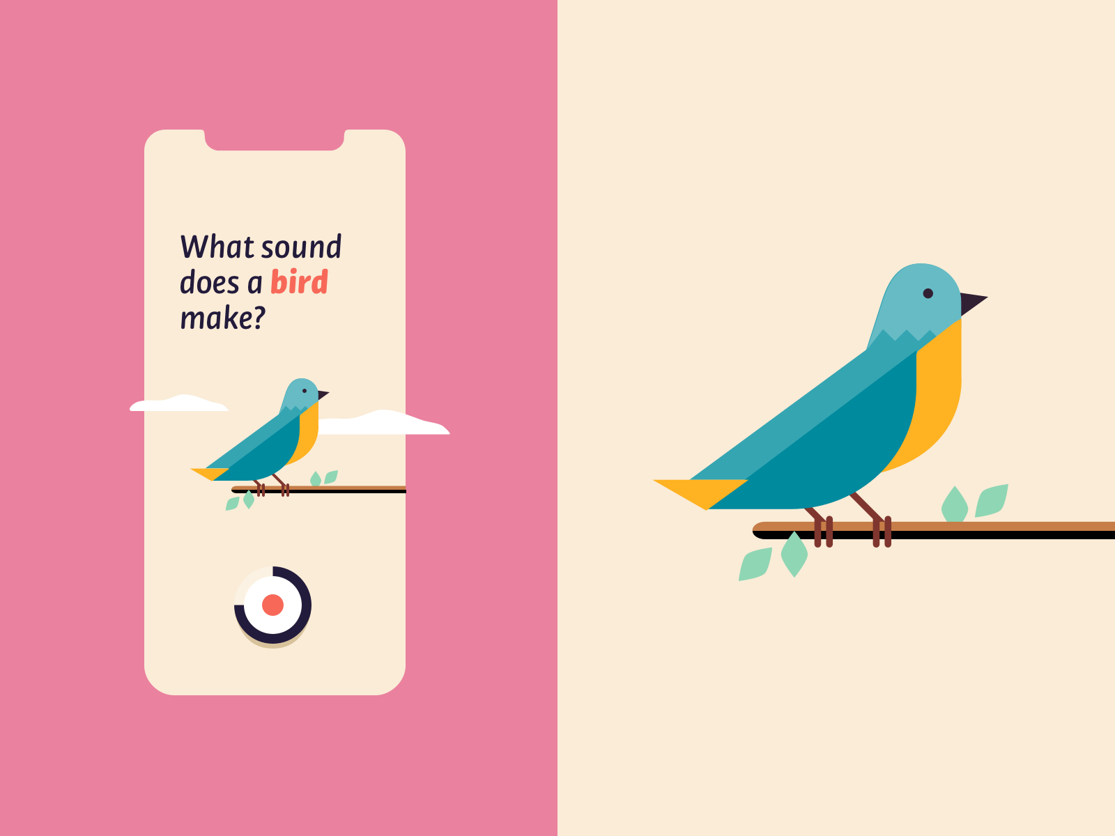 Bird Sound by Duarte Pires for Duall Studio on Dribbble