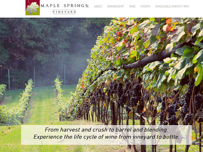 Winery Website Design branding design squarespace design typography web design website design winery