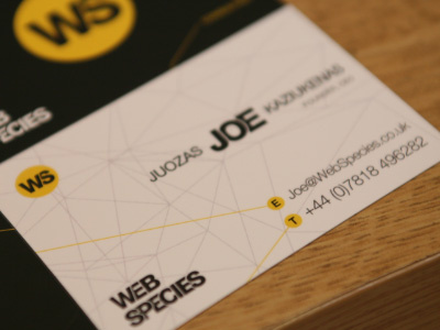 Web Species brand identity brand business cards identity minimalism web