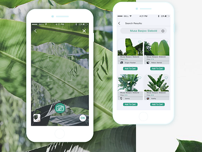 Plant-Identify app design ui