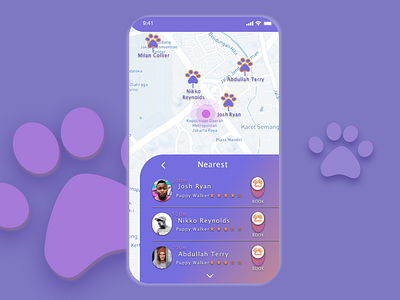 Puppy Walker service app ui ux